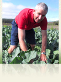 Peter Biddulph, Horticultural Agronomist