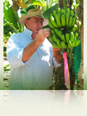 Stephen Tancred, Senior Horticultural Consultant
