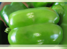 Capsicum plants in a field trial